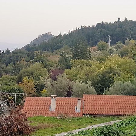 Гостевой дом Luxury House In The Hills Спарта Экстерьер фото