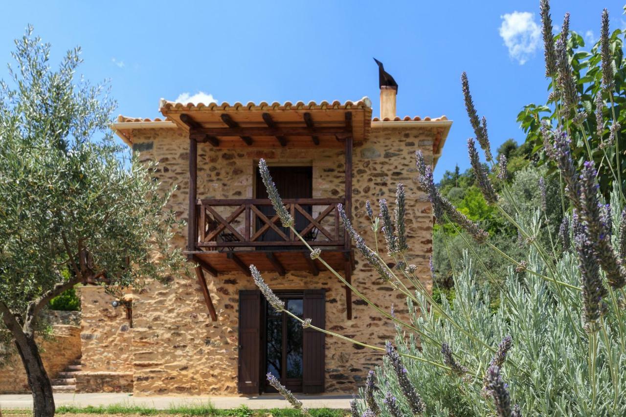 Гостевой дом Luxury House In The Hills Спарта Экстерьер фото