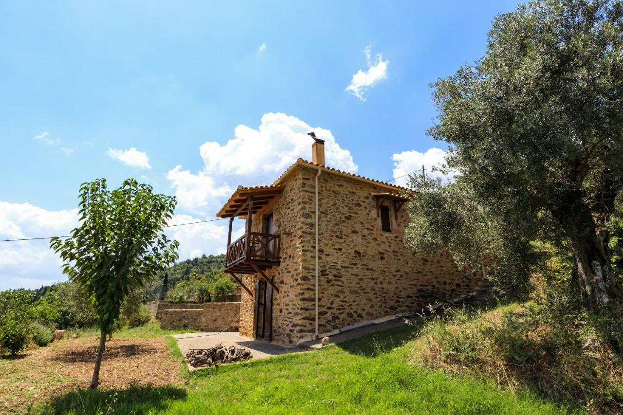 Гостевой дом Luxury House In The Hills Спарта Экстерьер фото