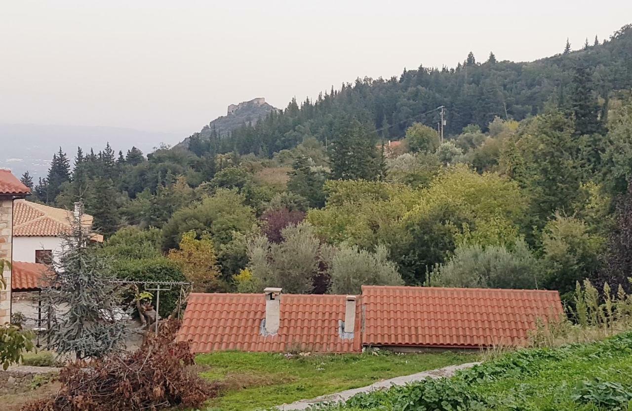 Гостевой дом Luxury House In The Hills Спарта Экстерьер фото